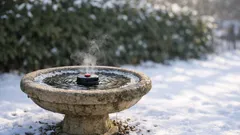 The winter backyard bird trick that works better than more seed